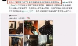 爆料最新资源在线观看,最新资源在线观看，一网打尽热门爆料！